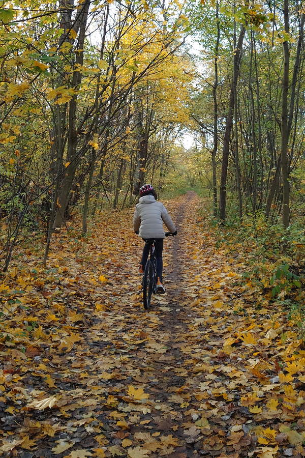 Top 5 tras rowerowych wokół Poznania – gdzie warto się wybrać?